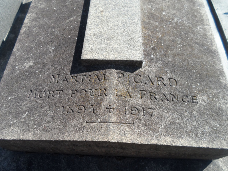 Fichier:Picard martial mederic aime 2.jpg